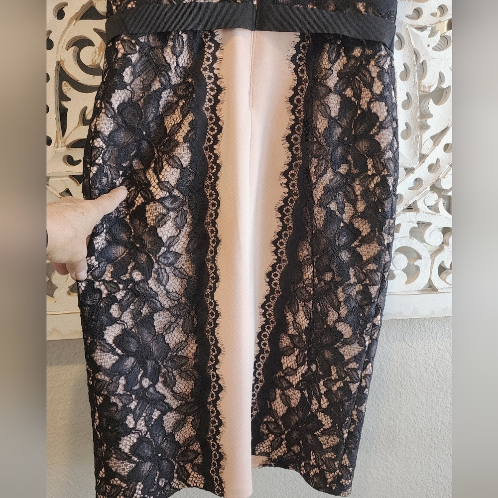 TADASHI SHOJI SHEATH LACE STRAPLE DRESS BLACK & NUDE TONE SIZE 2 - Picture 11 of 13